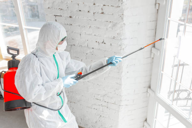 Best Comprehensive Air Testing for Mold Contaminants in Moraga, CA