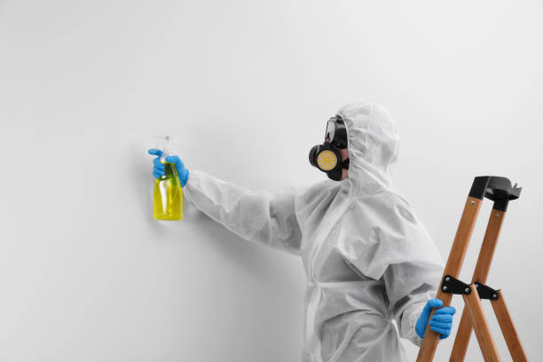 Why You Should Choose Our Mold Remediation Services in Moraga, CA